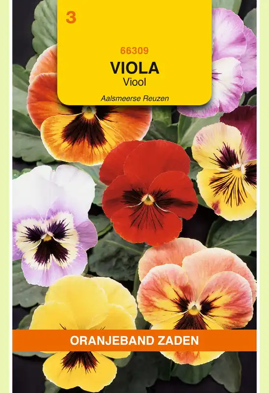 OBZ Viola, Viool Aalsmeerse Reuzen gemengd | Superprijs