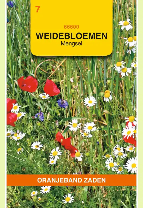 OBZ Weidebloemen mengsel - 5 m² - Zojuist toegevoegd