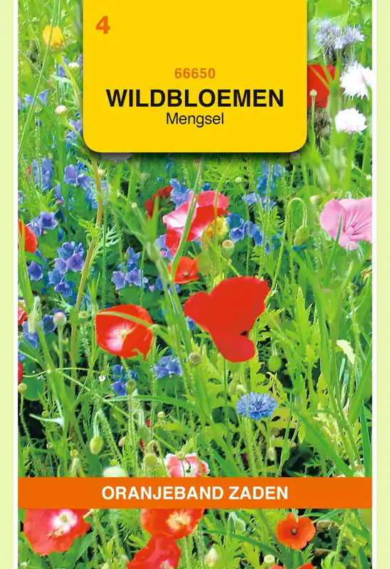 Voordelig - OBZ Wildbloemen mengsel eenjarig - 10 m²