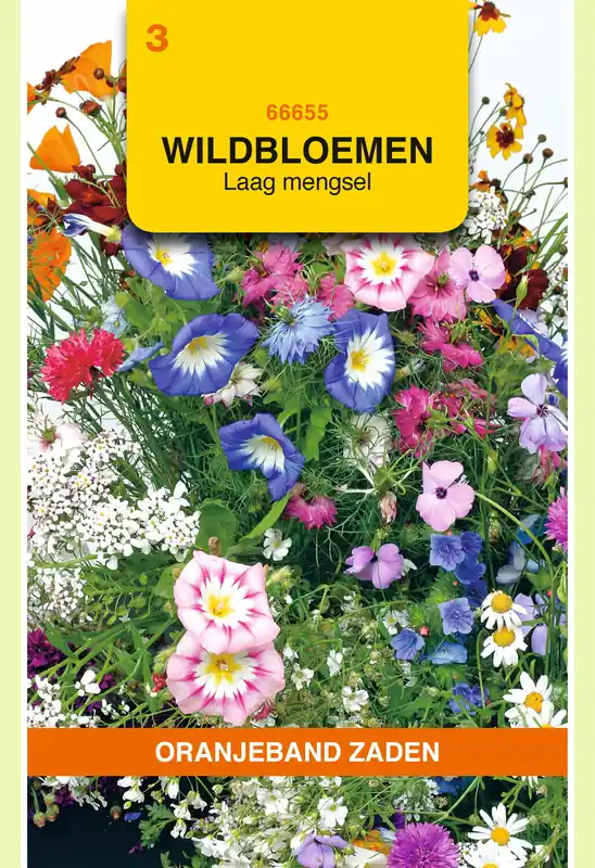 Professionele kwaliteit - OBZ Wildbloemen mengsel eenjarig, laag
