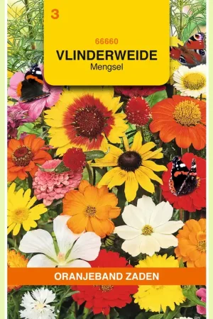 Actieprijs | OBZ Vlinderweide mengsel