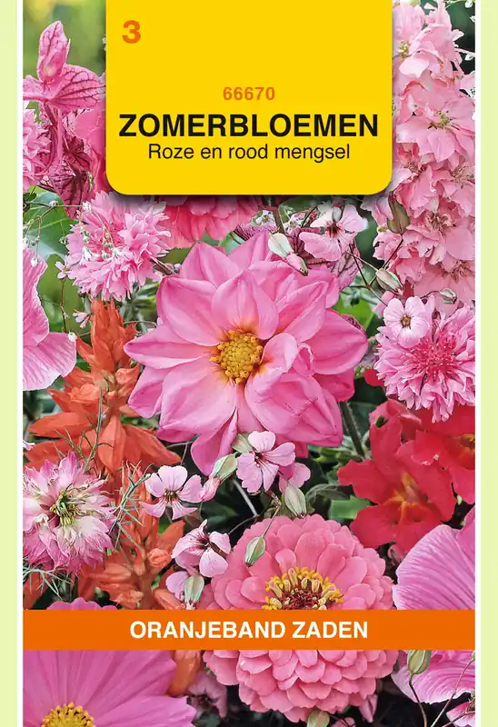 Opruiming - OBZ Zomerbloemen mengsel, roze/rood