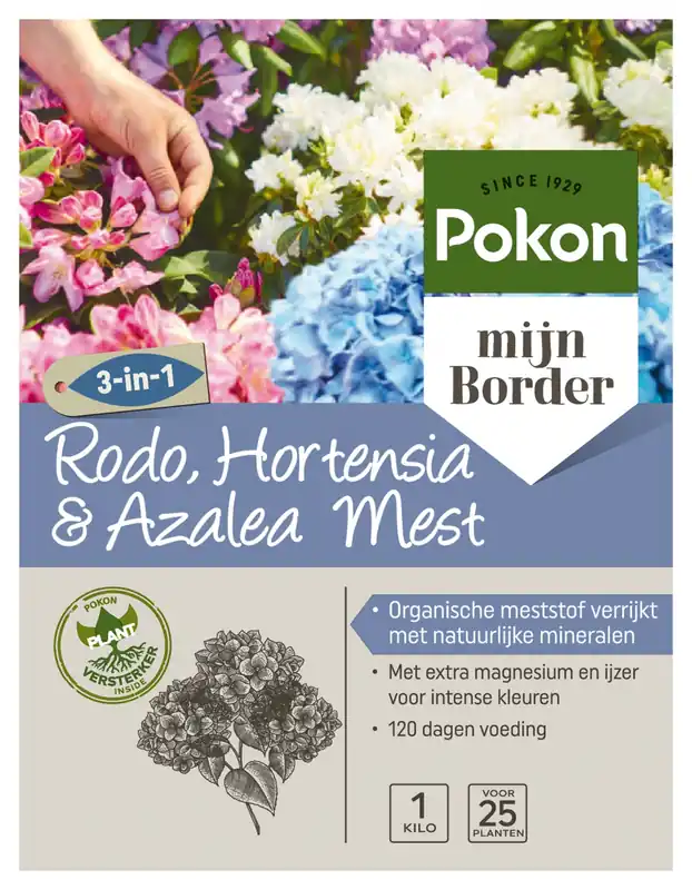 Pokon Rhododendron, Hortensia & Azalea Mest 1kg - Lage prijs