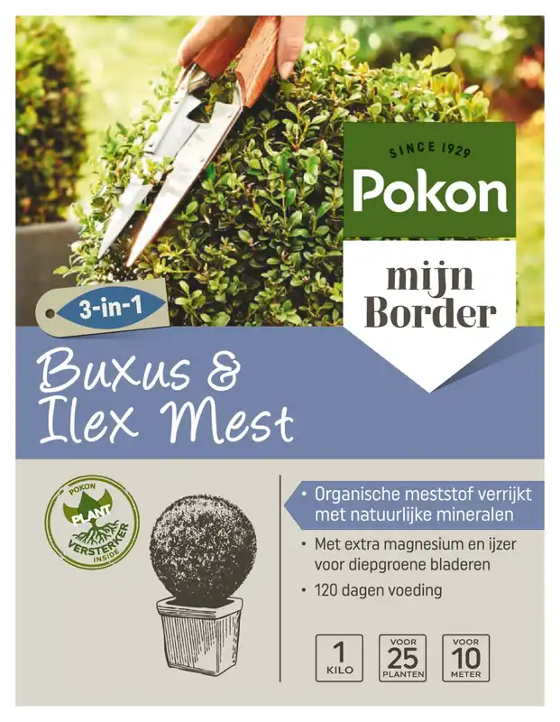 Populair bij klanten | Pokon Buxus & Ilex Mest 1kg