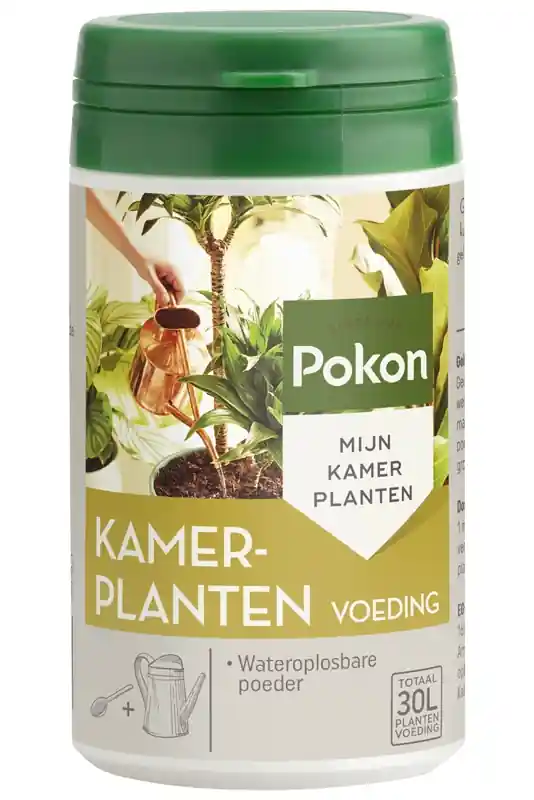 Pokon Kamerplanten Voeding Poeder 100gr - Uitverkoop