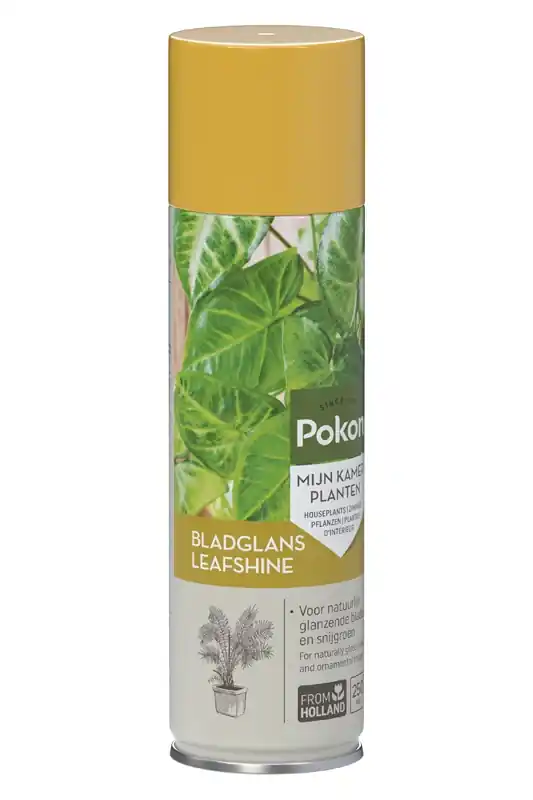 Pokon Bladglans 600ml - Direct van de fabrikant