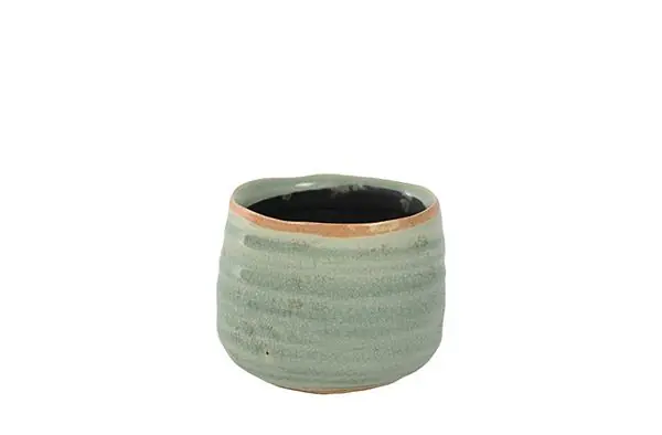 Opruiming - TS Pot Iris mint D8 H7