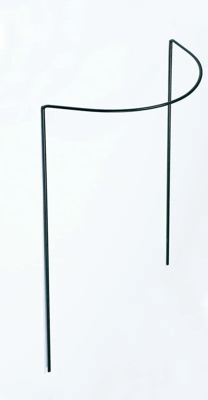 Plantensteun halfrond 75x40 cm geschulpt | Bijna uitverkocht
