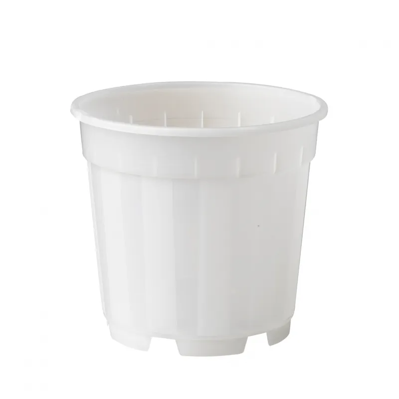 Nature Orchidee Pot Transparant - Ø12cm - Lage prijs