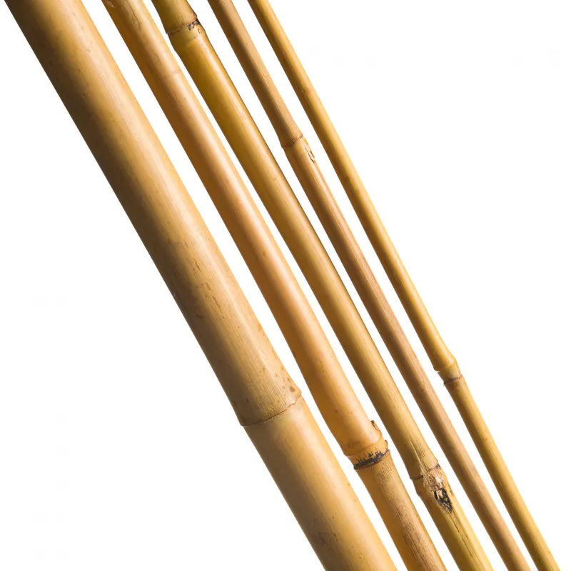 Voeg toe aan winkelwagen - Nature Bamboestok Naturel H 60cm - Ø6-8mm - 10 stuks
