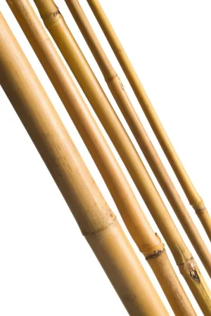 Aanrader - Nature Bamboestok Naturel H150cm - Ø12-14mm - 4 stuks
