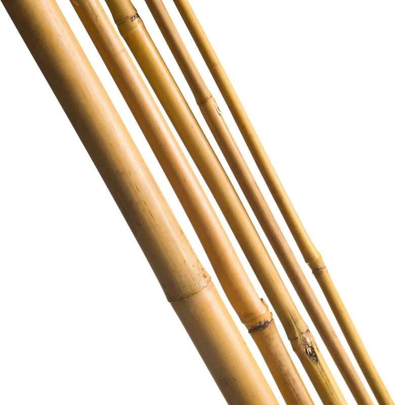 Aanrader - Nature Bamboestok Naturel H150cm - Ø12-14mm - 4 stuks