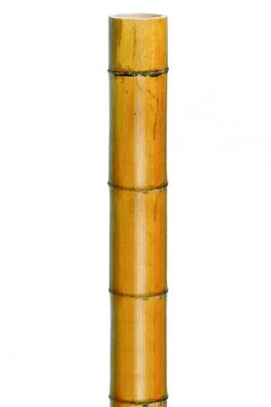 Zeer goed beoordeeld - Nature Bamboe Decora Naturel H270cm - Ø 40-50mm