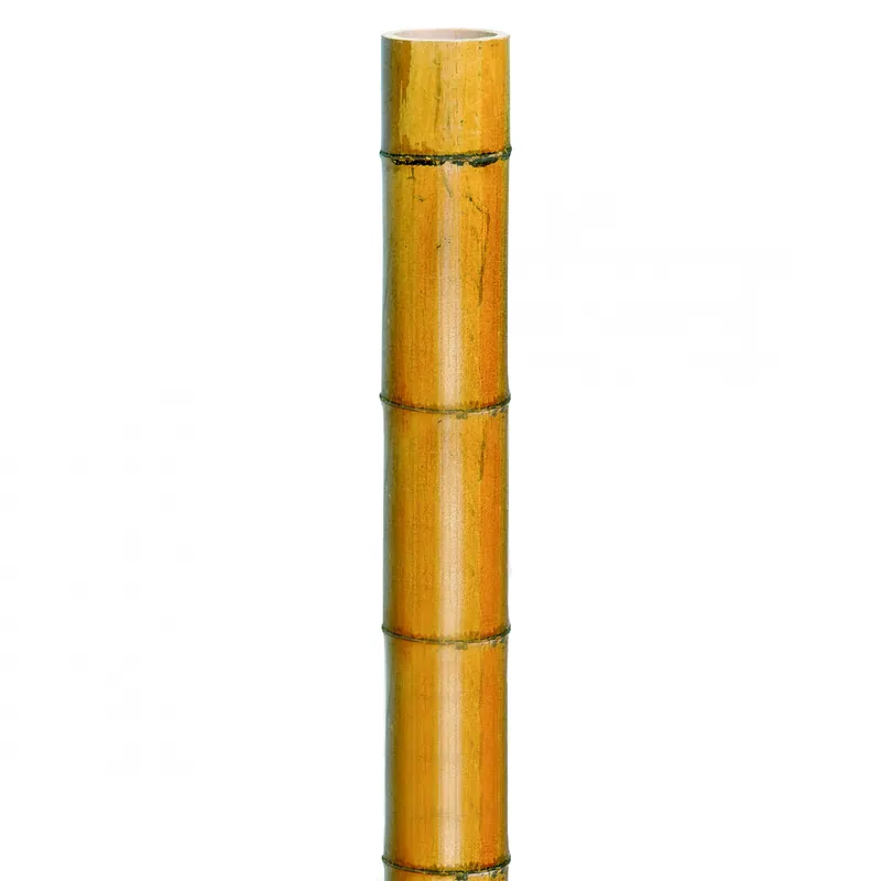 Zeer goed beoordeeld - Nature Bamboe Decora Naturel H270cm - Ø 40-50mm