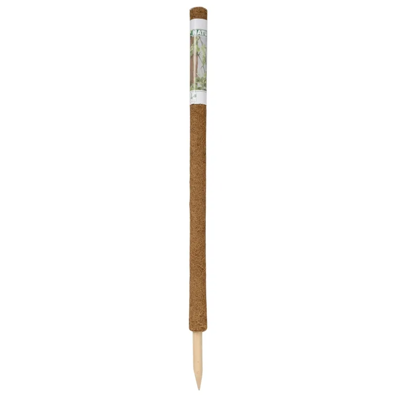 Nature Plantenstok Kokos - H60cm - Ø38mm - Fabrieksprijs