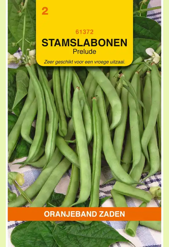 Voordelig | OBZ Stamslabonen Prelude, 25g