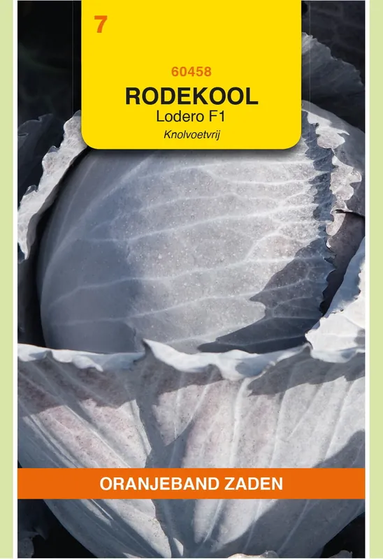 Populair - OBZ Rode Kool Lodero F1, Knolvoetvrij