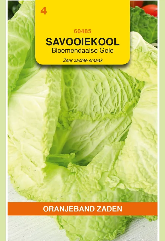 OBZ Savooiekool Bloemendaalse gele - Beste prijs