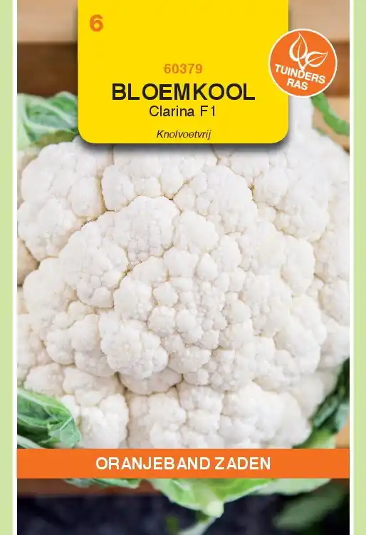 OBZ Bloemkool Clarina F1 - Nog enkele stuks
