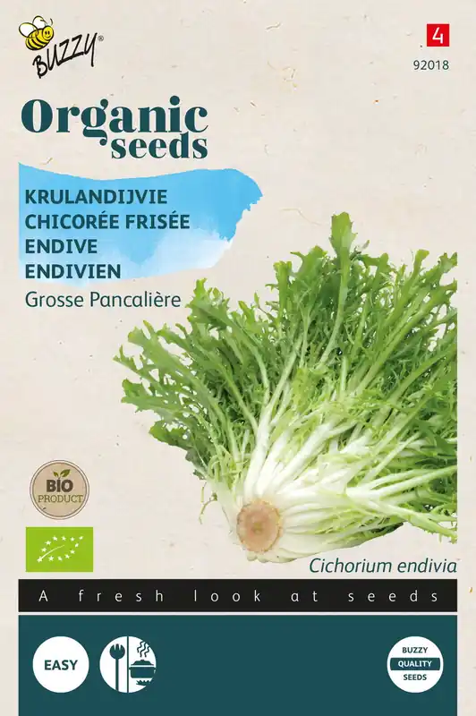 Buzzy® Organic Krulandijvie Grosse Pancalière (BIO) | Direct beschikbaar