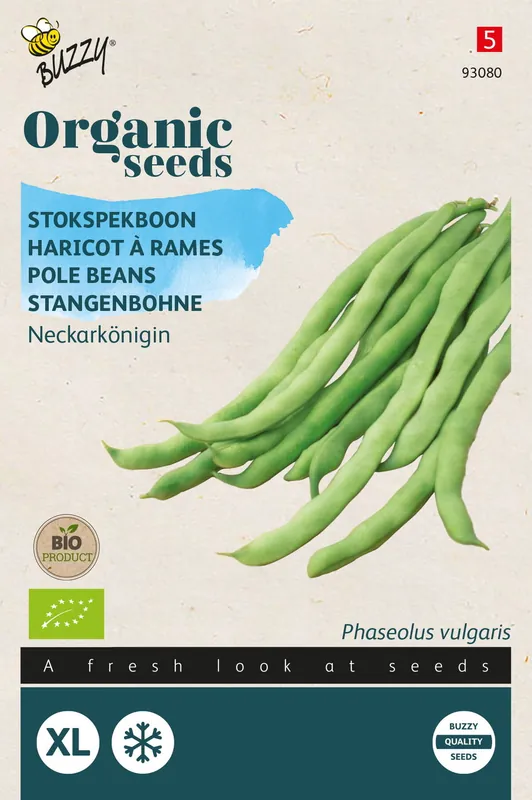 Buzzy® Organic Stokspekboon Neckarkönigin (BIO) | Klaar voor verzending
