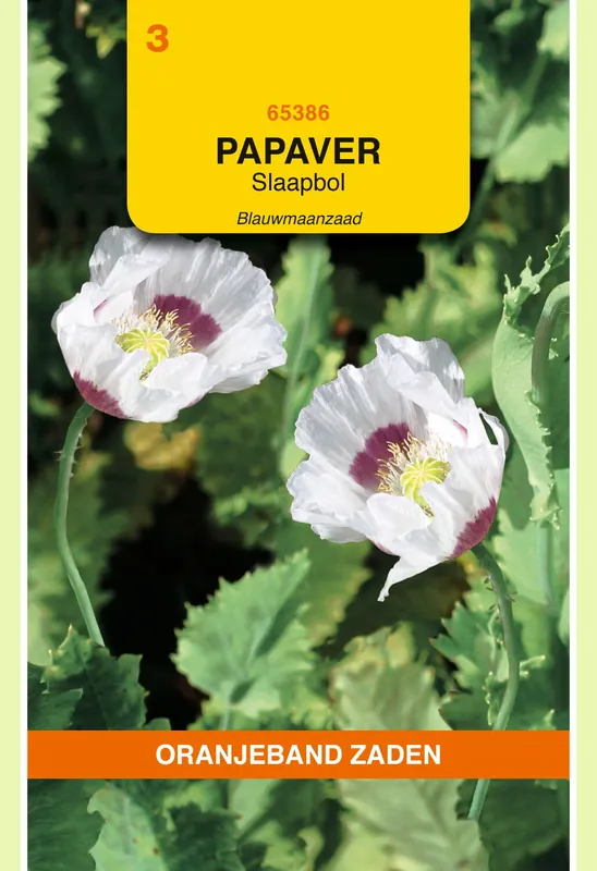 Lage prijs - OBZ Papaver, Slaapbol Blauwmaanzaad