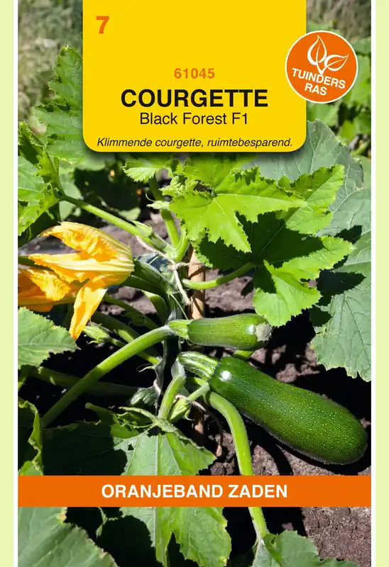 OBZ Courgette Klimmend Black Forest F1 | Bestseller