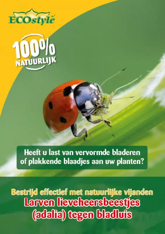 Professionele kwaliteit | Ecostyle Larven lieveheersbeestje tegen bladluis 100 st.