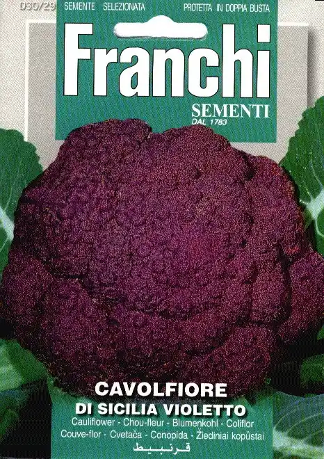 Fr Bloemkool, Cavolfiore Sicilia Violetto 30/29 | Nu beschikbaar