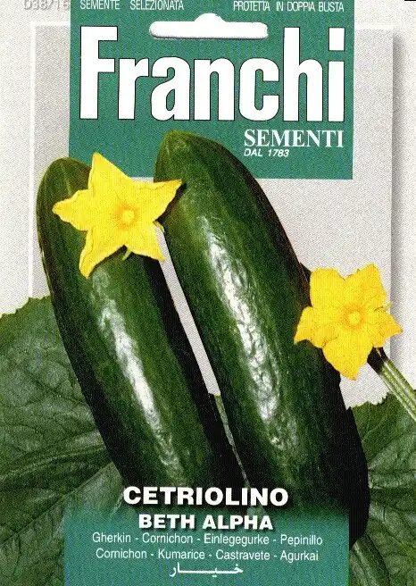Fr Augurk, Cetriolino Beth Alpha 38/16 | Vanaf nu beschikbaar