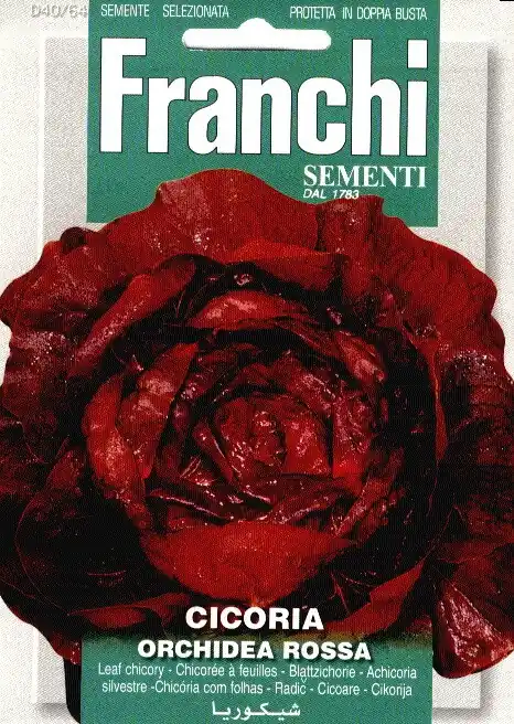 Fr Roodlof, Cicoria Orchidea Rossa 40/64 - Nieuw product