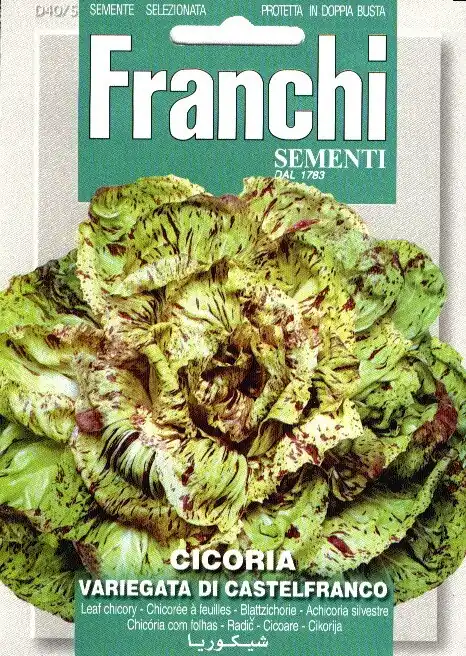 Fr Radicchio, Cicoria Castelfranco 40/5 | Voordeelprijs