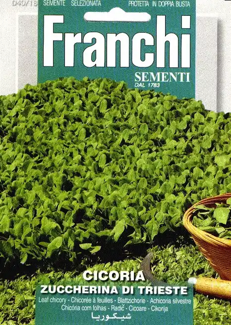 Fr Cichorei, Cicoria Di Trieste 40/18 | Bestelbaar