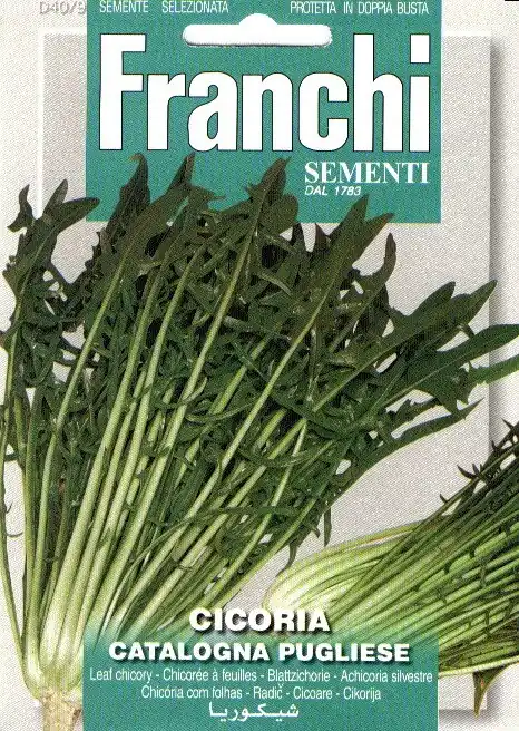 Nieuwe release | Fr Cichorei, Cicoria Catalogna Pugliese 40/9