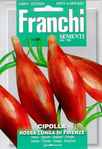 Fr Ui, Cipolla rossa Lunga Da Firenze 42/23 | Online bestelbaar