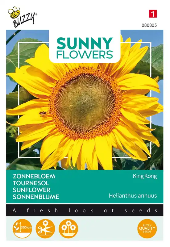 Populair - Buzzy® Sunny Flowers, Zonnebloem King Kong