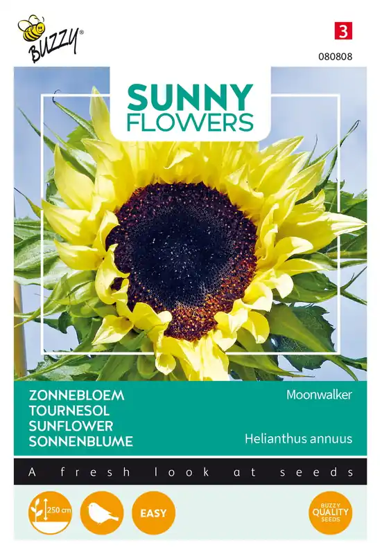 Buzzy® Sunny Flowers, Zonnebloem Moonwalker - Beste prijs