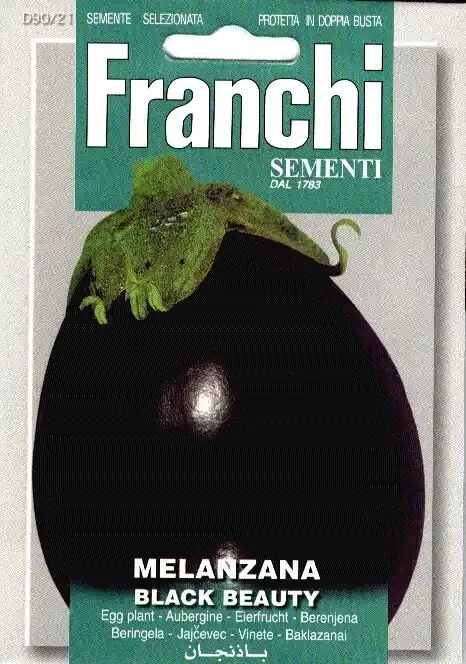 Nu beschikbaar - Fr Aubergine, Melanzana Black Beauty 90/21
