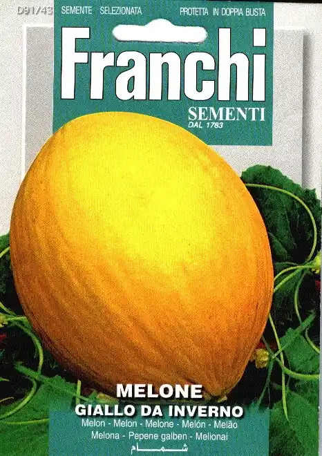 Korting | Fr Meloen, Melone Giallo Da Inverno 91/43