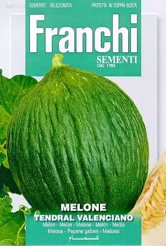Fr Meloen, Melone Tendral Valenciano 91/23 - Direct kopen