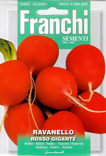 Fr Radijs, Ravanello Rosso Gigante 112/34 - Aanrader