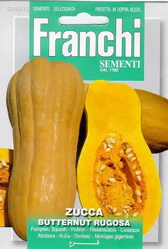 Profiteer nu | Fr Pompoen, Zucca Butternut rugosa 145/15