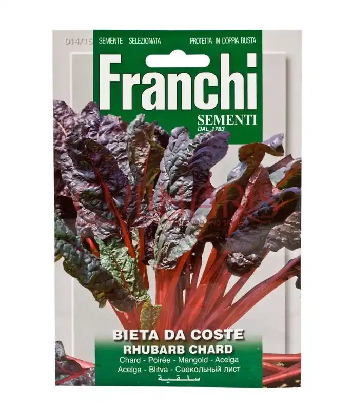 Direct kopen | Fr Snijbiet, Bietola Da Coste Rhubarb Chard 14/15