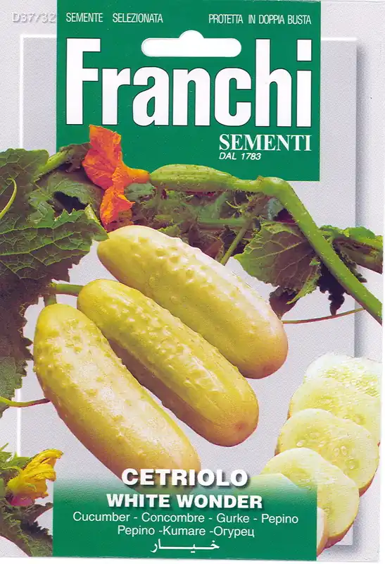 Direct van de fabrikant | Fr Komkommer, Cetriolo White Wonder 37/32