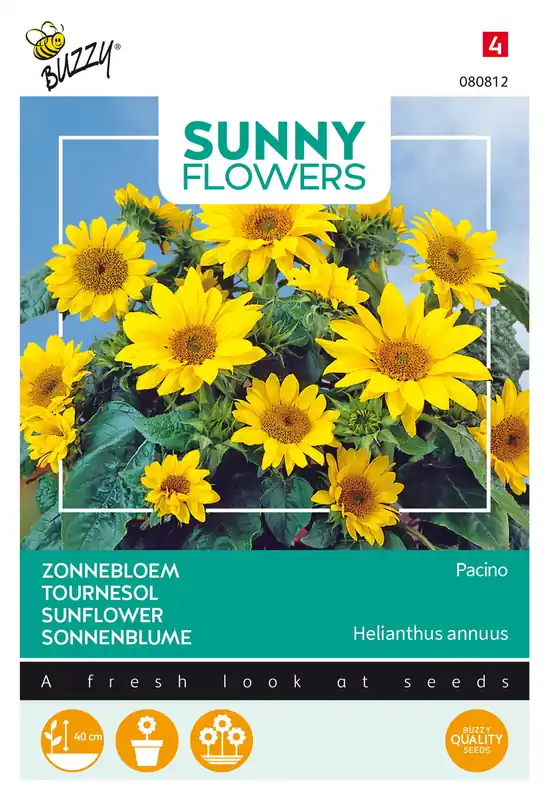 Vanaf nu beschikbaar - Buzzy® Sunny Flowers, Zonnebloem Pacino Gold