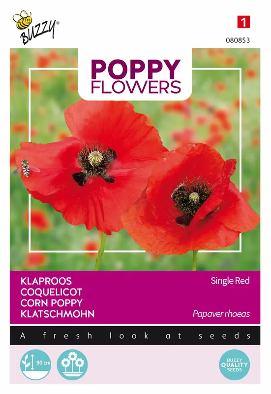 Buzzy® Poppy Flowers, Klaproos Rhoeas Rood | Klaar voor verzending