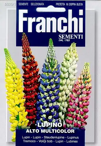 Fr Lupine, Lupino Alto Multicolor 335/1 - Alleen vandaag