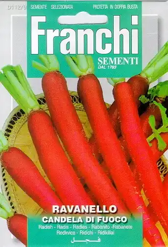 Sale | Fr Radijs, Ravenello Candela Di Fuoco 112/9