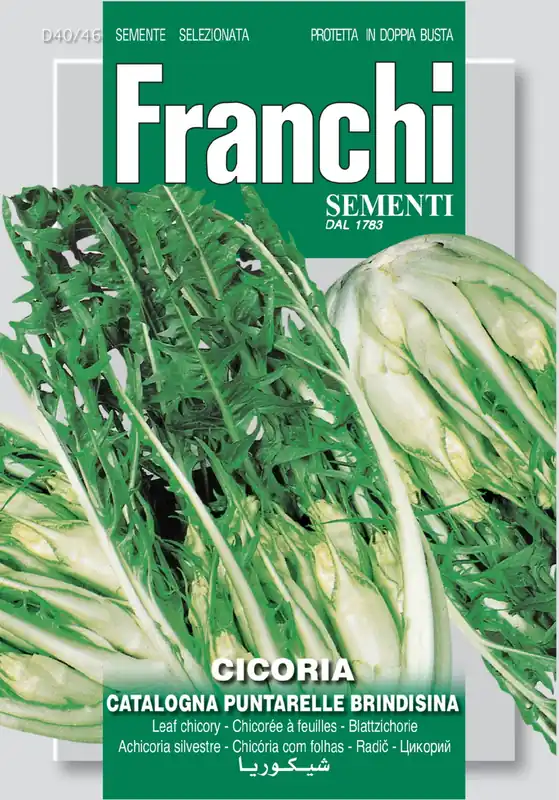 Online kopen | Fr Cichorei, Cicoria Catalogna Puntarella Brindisina 40/46