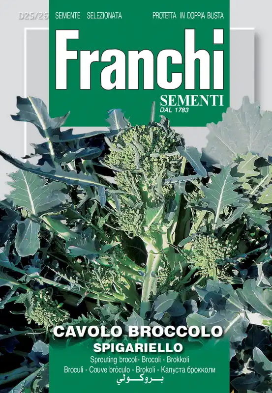 Fr Broccoli bloeiend, Cavolo Broccolo Spigariello 25/26 - Nu beschikbaar